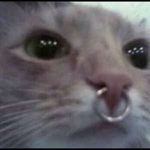 Meet your Posher, Nadia